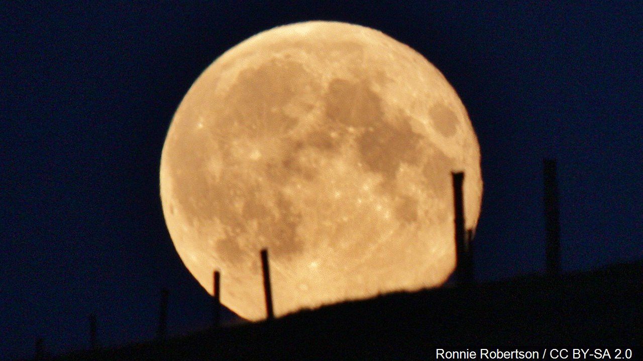 harvest moon